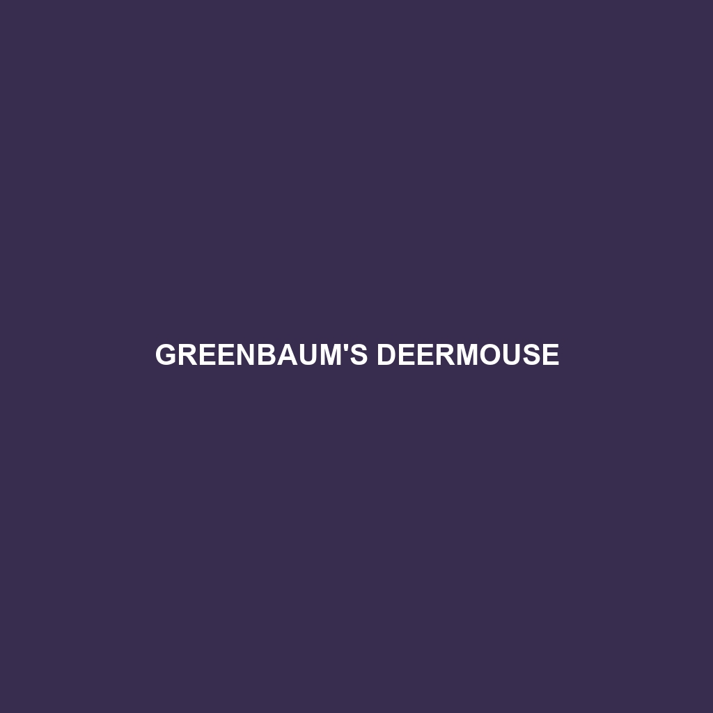 Greenbaum's Deermouse