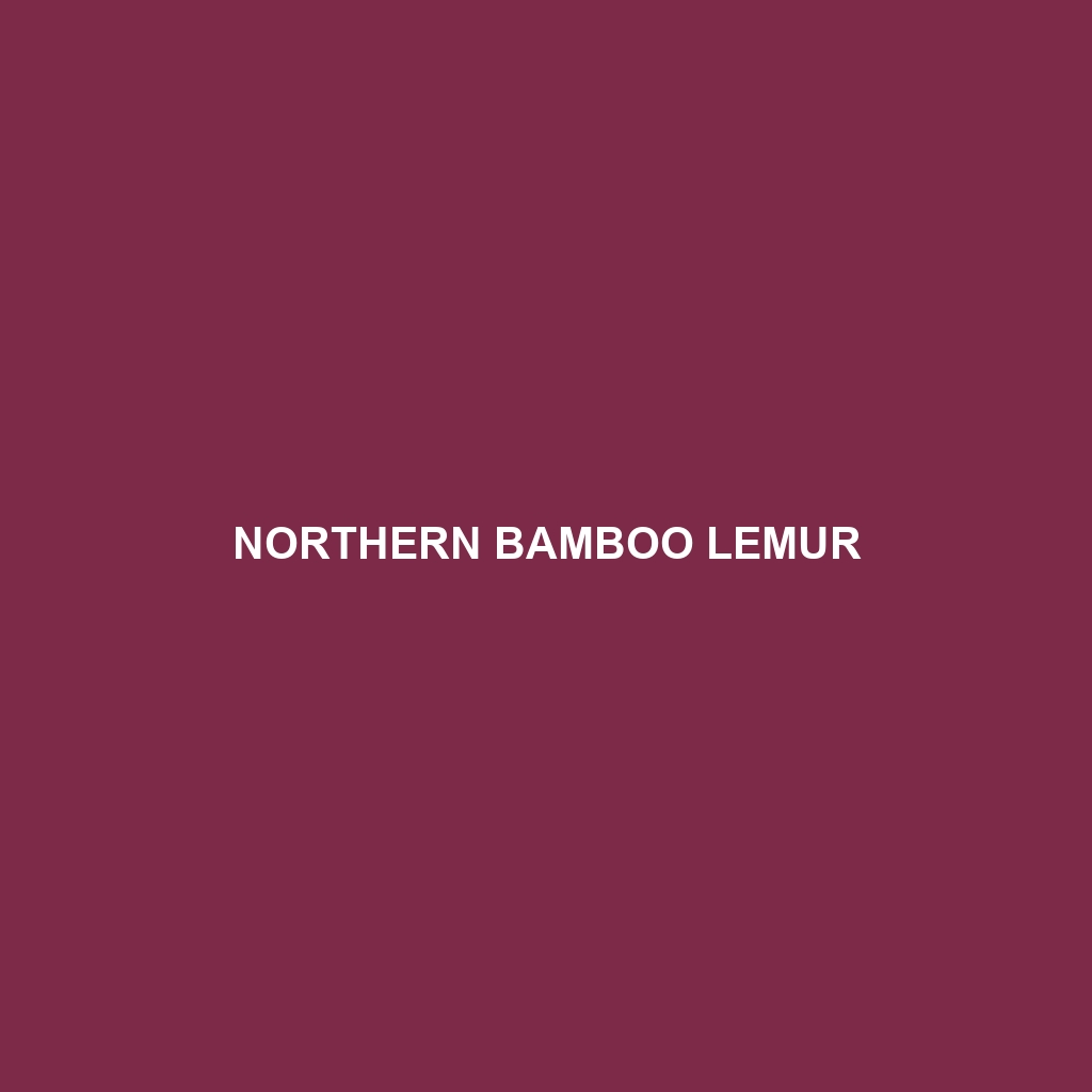 Northern Bamboo Lemur