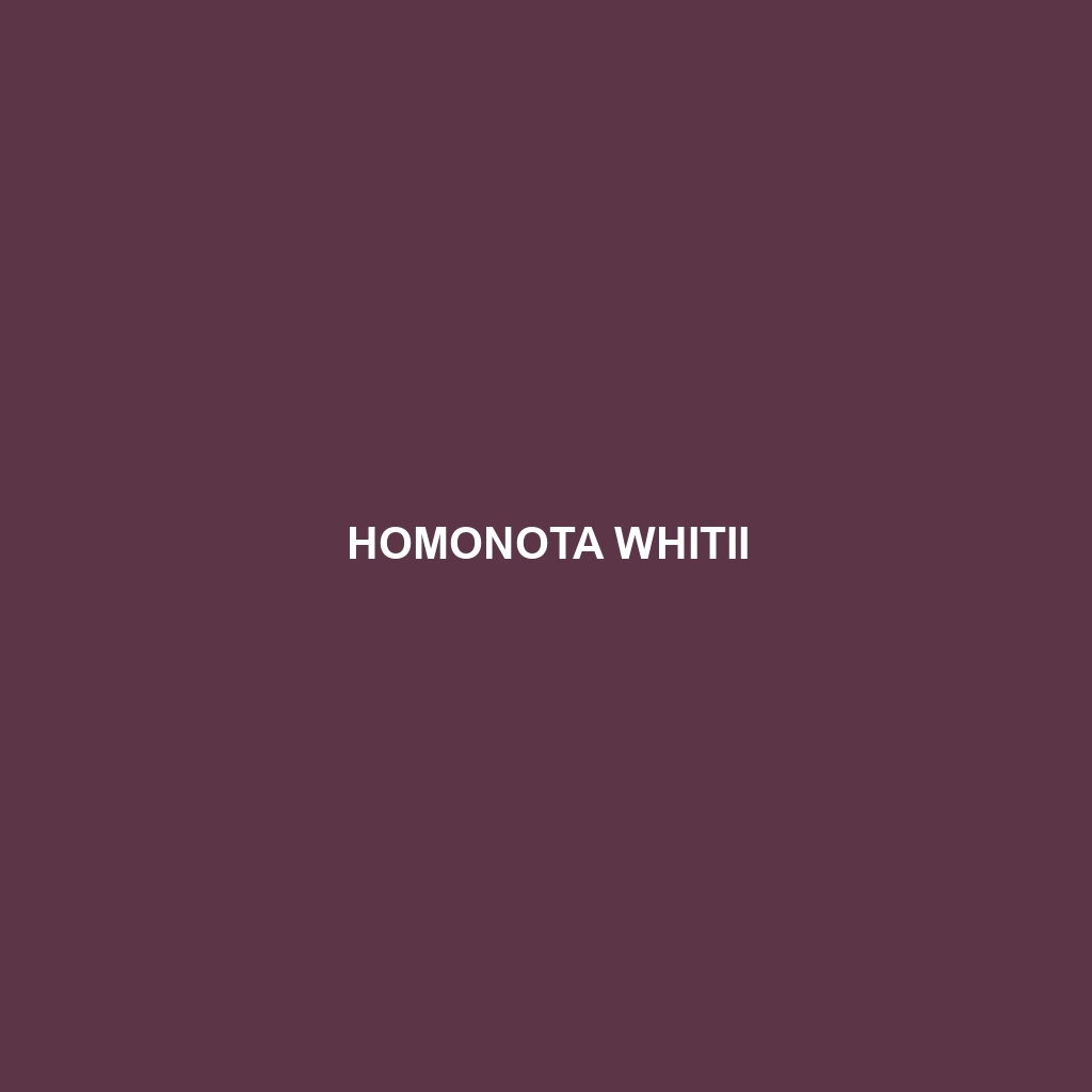 Homonota whitii