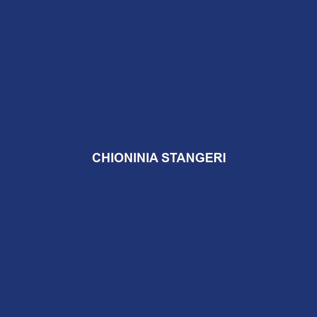 Chioninia stangeri