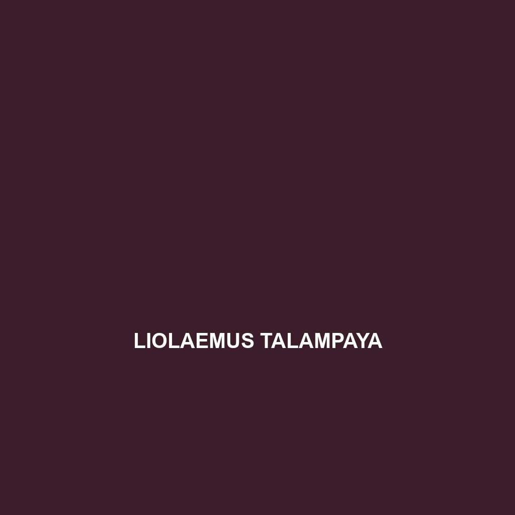 Liolaemus talampaya