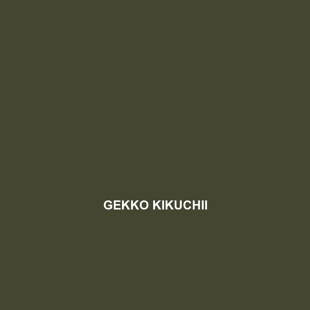 Gekko kikuchii