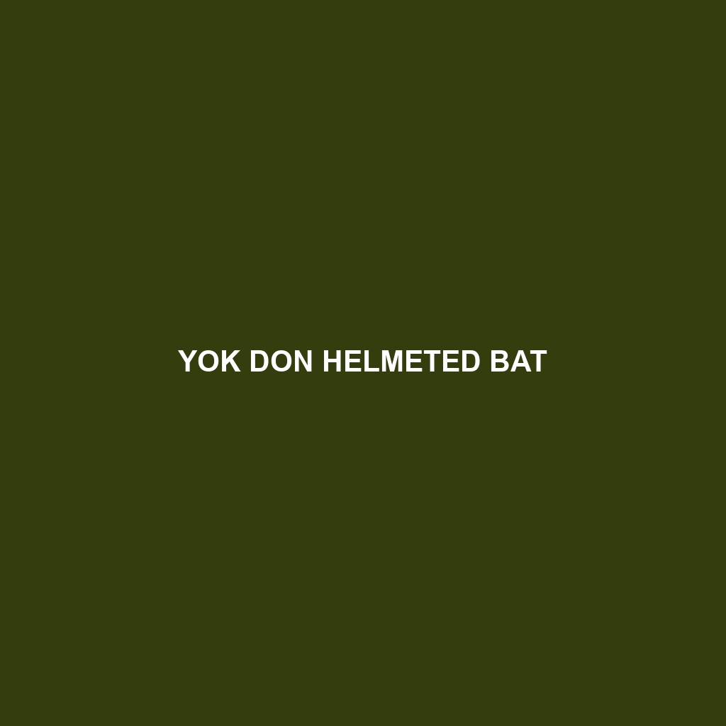 Yok Don Helmeted Bat