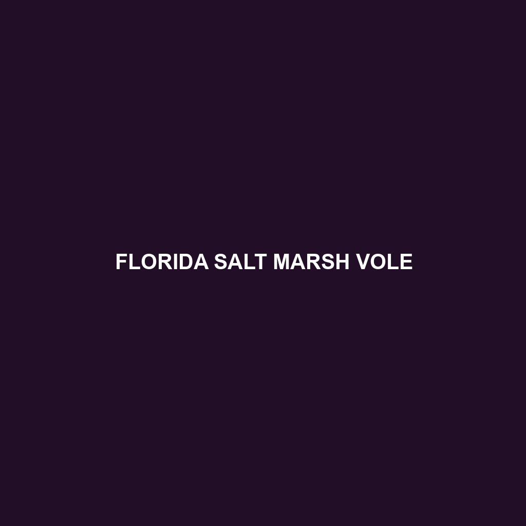 Florida Salt Marsh Vole