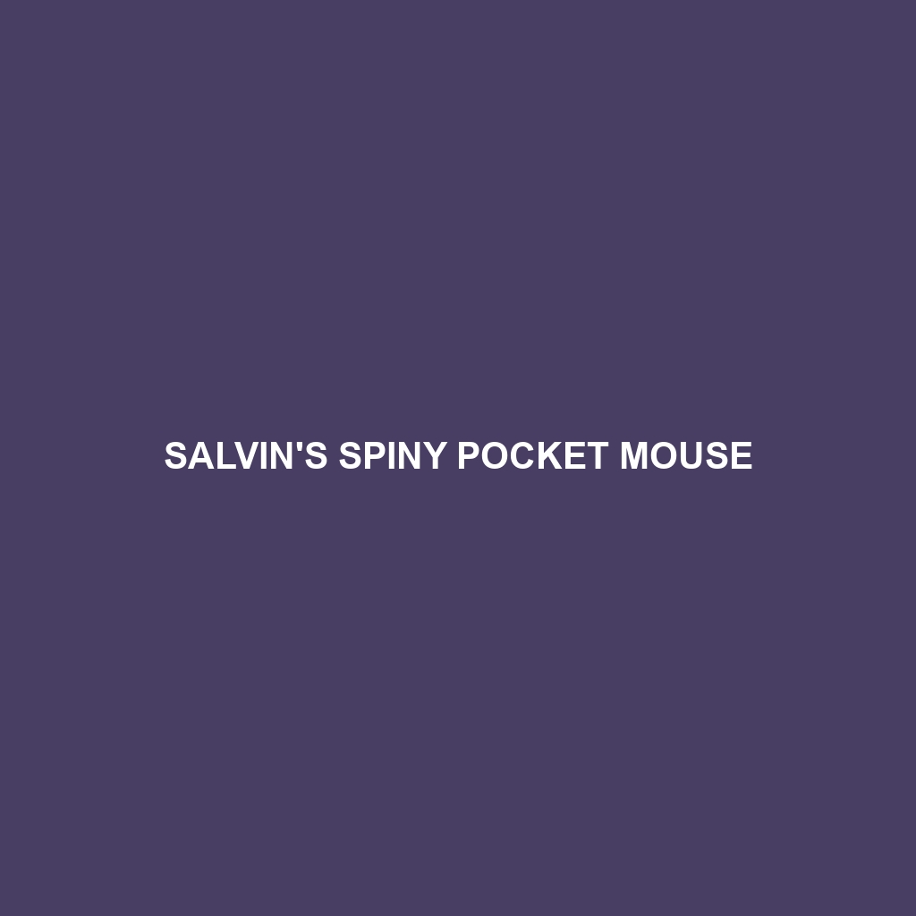 Salvin's Spiny Pocket Mouse