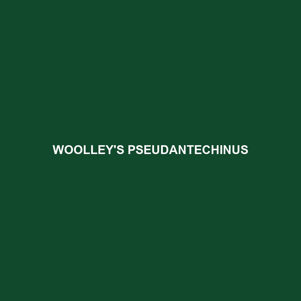 Woolley's Pseudantechinus