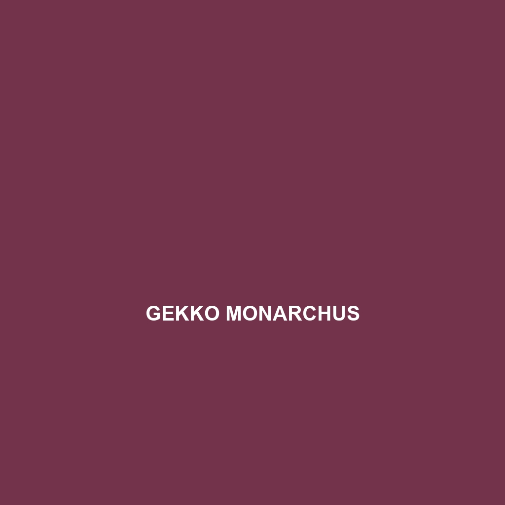 Gekko monarchus