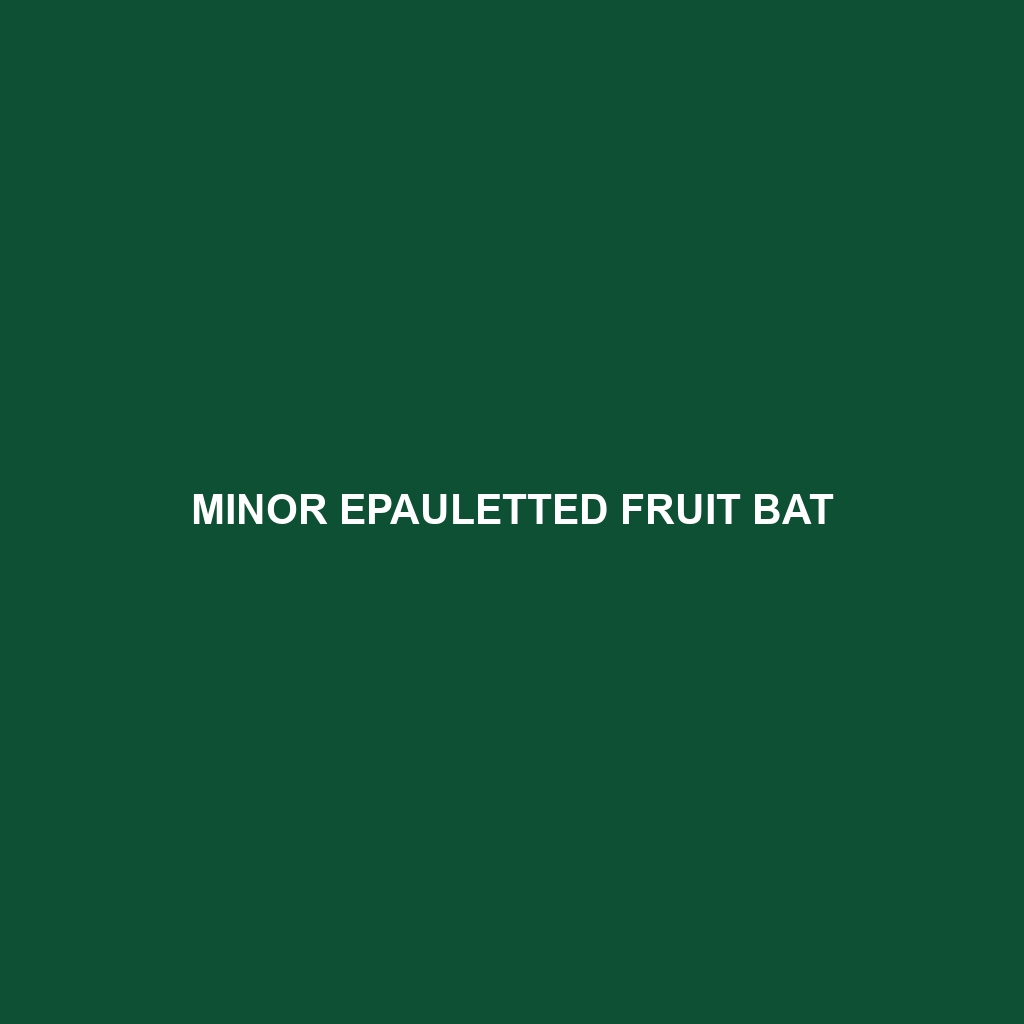 Minor Epauletted Fruit Bat