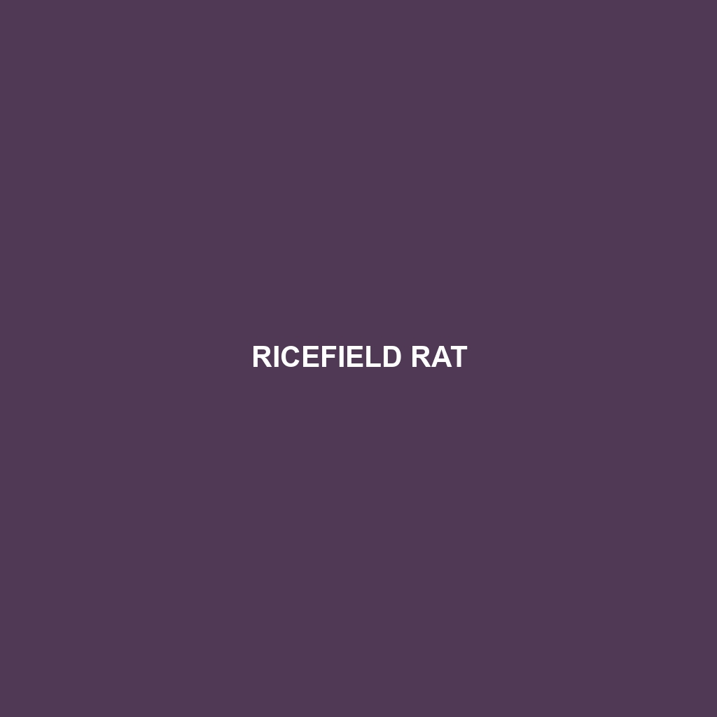 Ricefield Rat