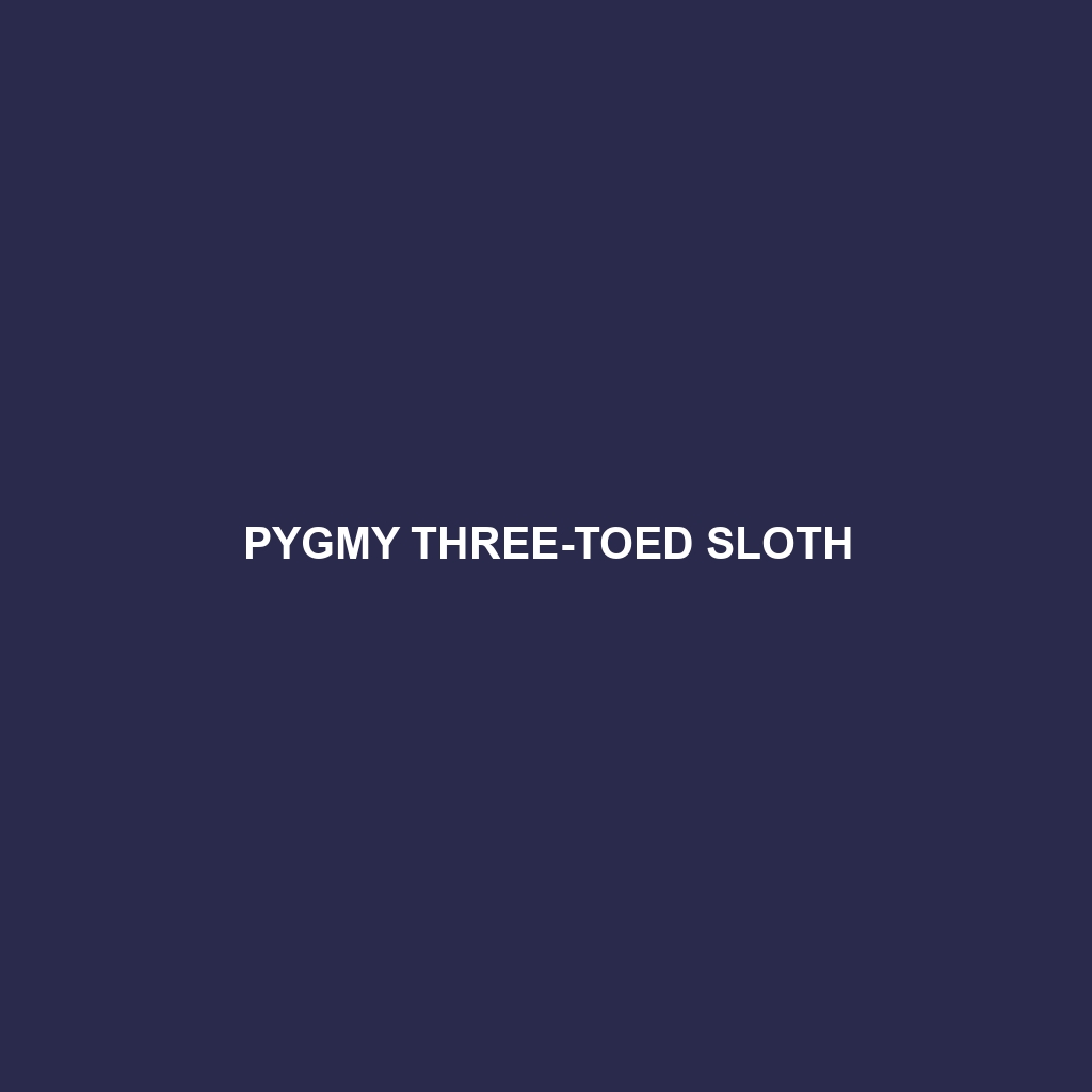 Pygmy Three-toed Sloth