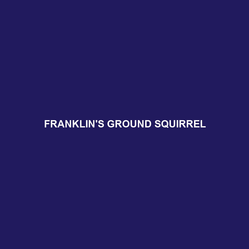 Franklin's Ground Squirrel