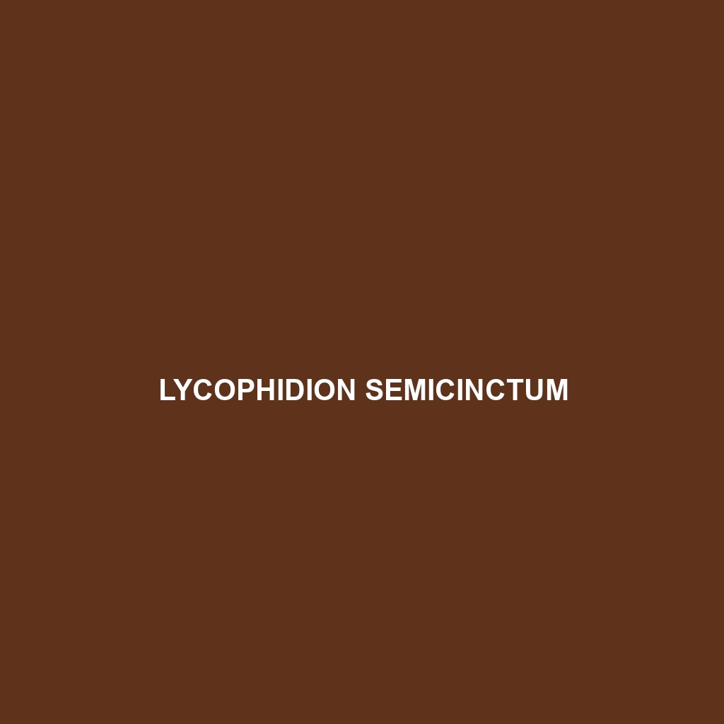 Lycophidion semicinctum