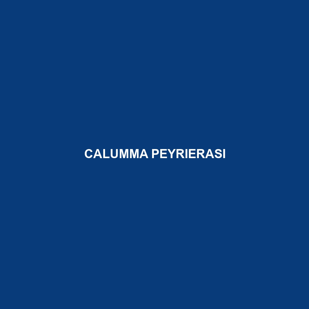 Calumma peyrierasi