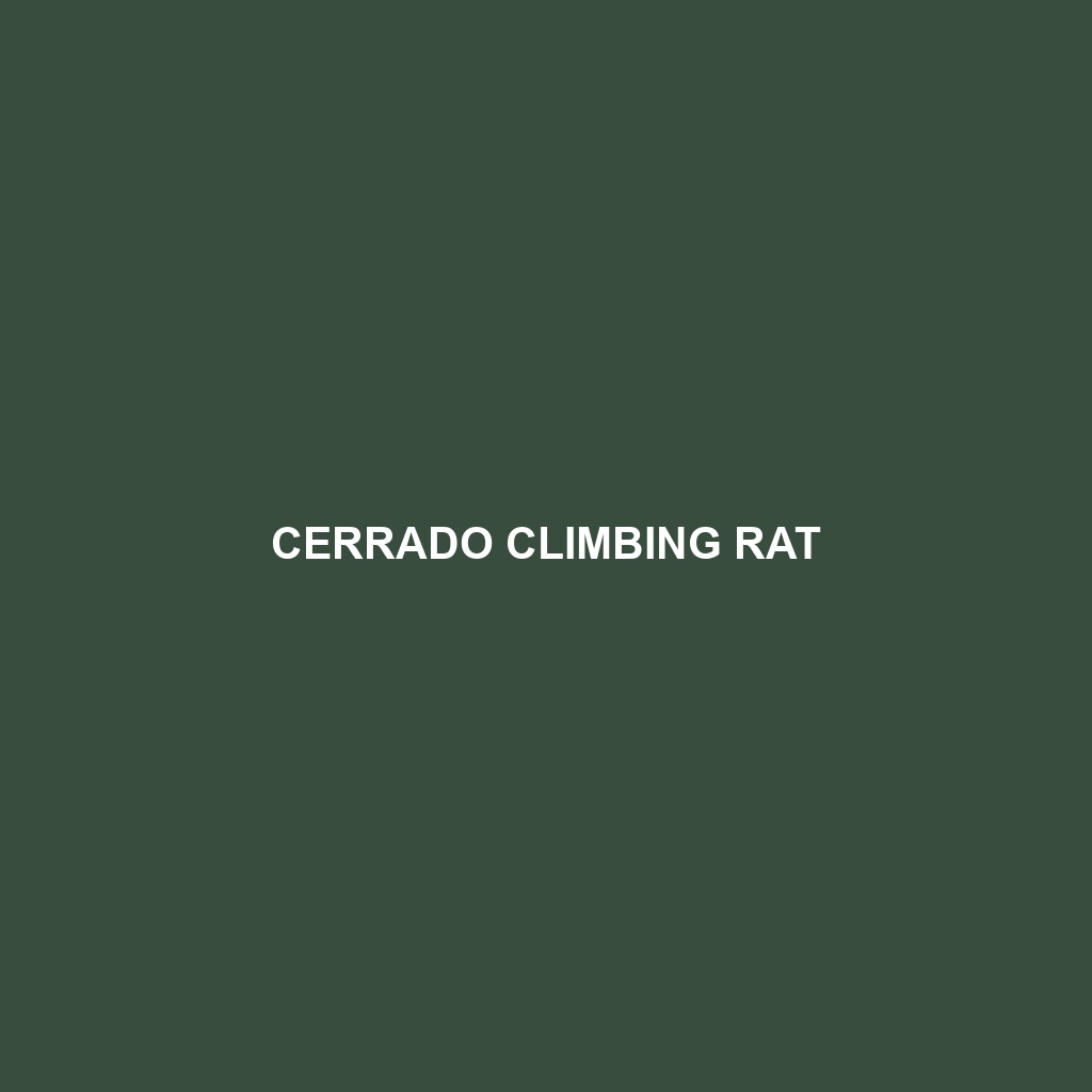 Cerrado Climbing Rat