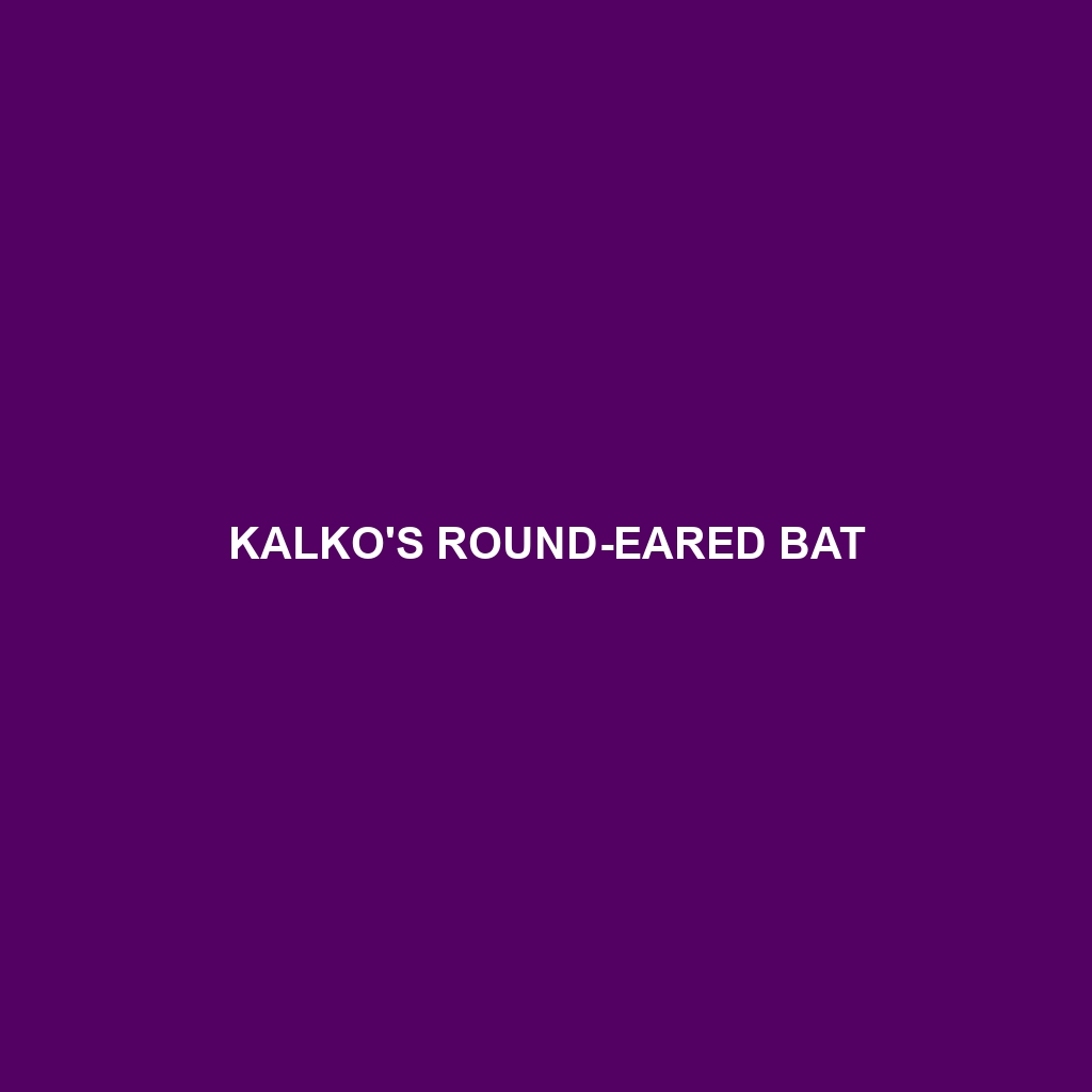 Kalko's Round-eared Bat