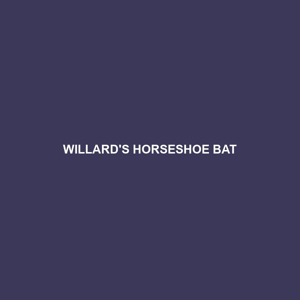 Willard's Horseshoe Bat