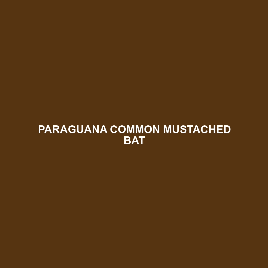 Paraguana Common Mustached Bat