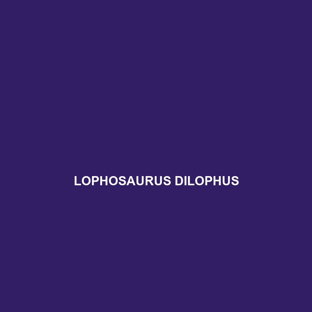 Lophosaurus dilophus