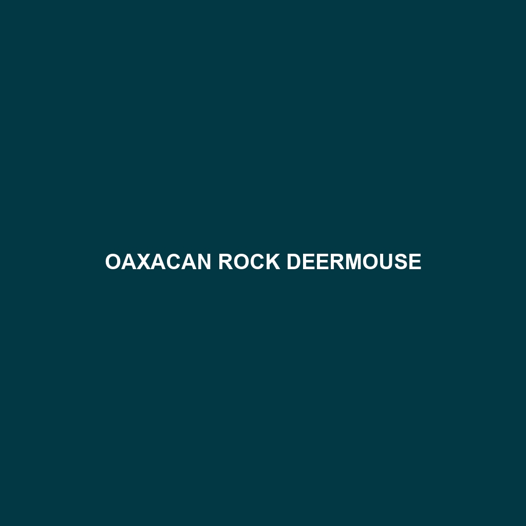 Oaxacan Rock Deermouse