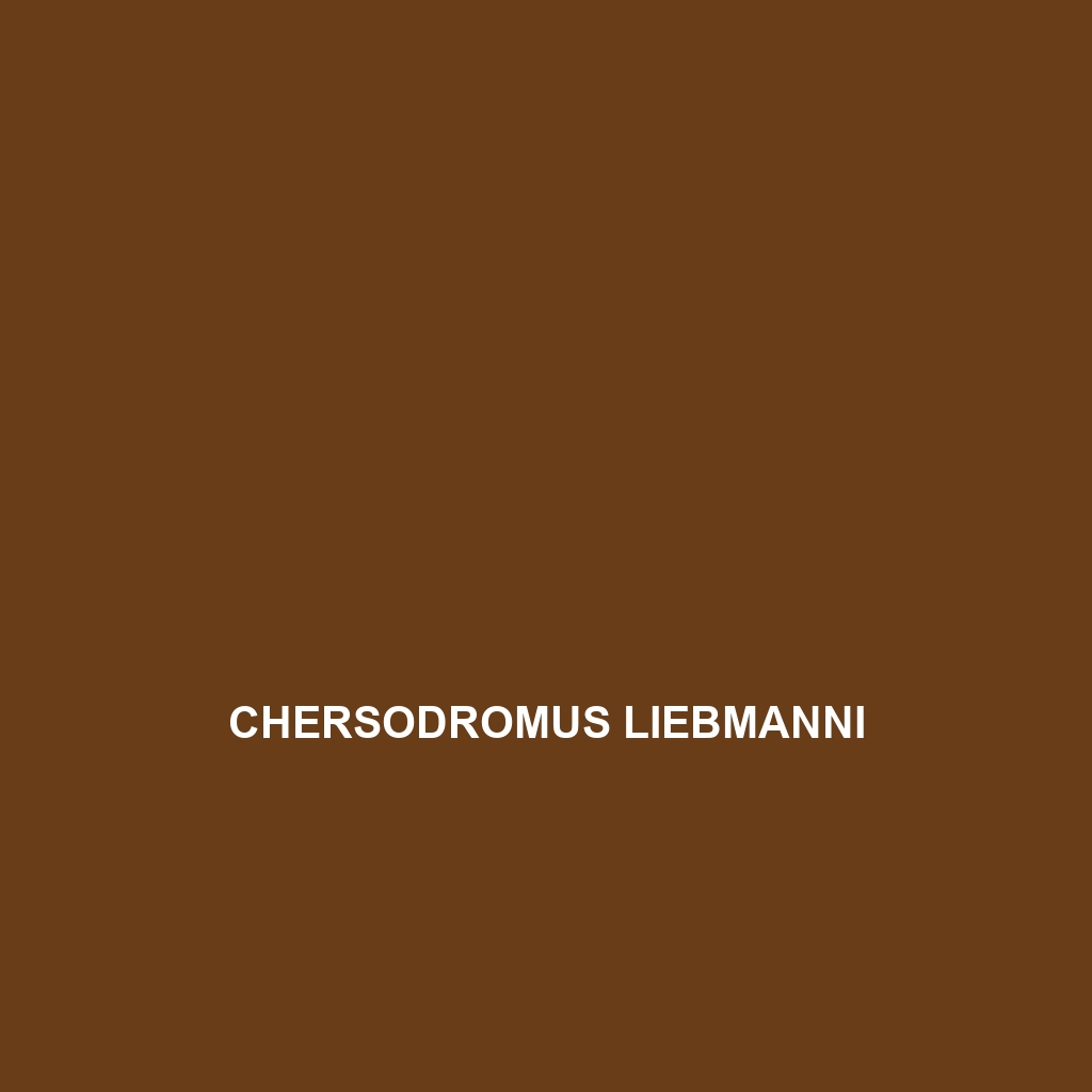 Chersodromus liebmanni