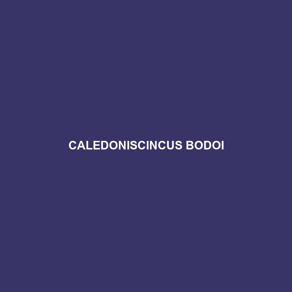 Caledoniscincus bodoi