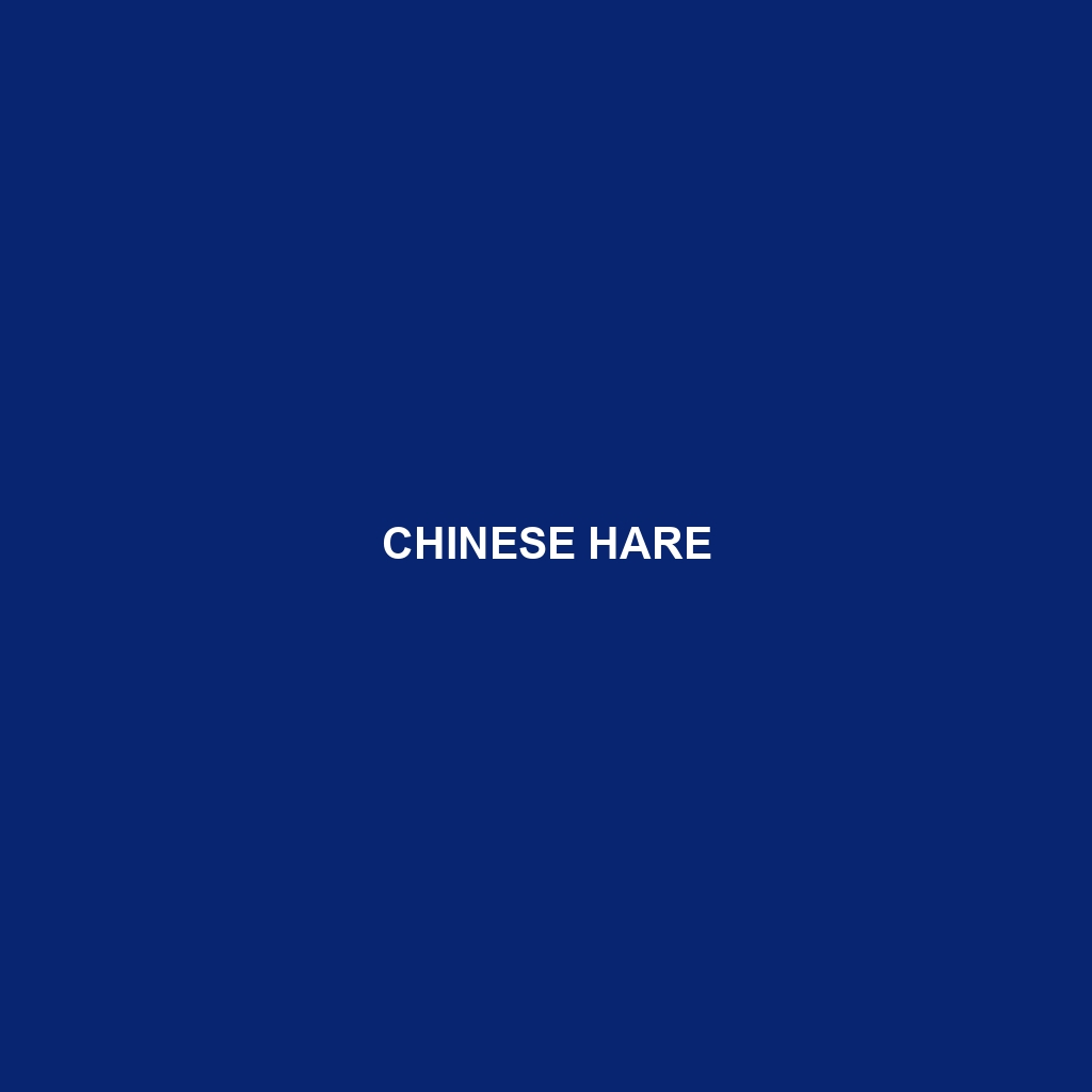 Chinese Hare