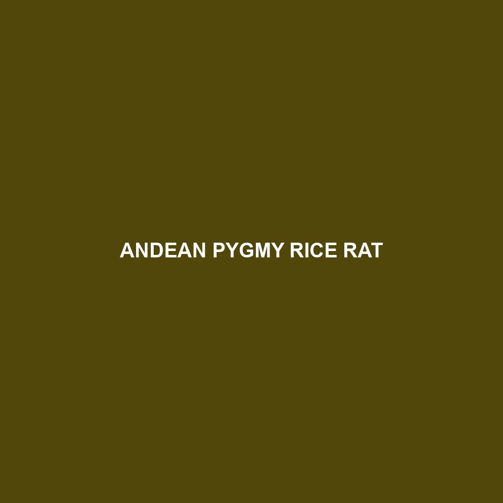 Andean Pygmy Rice Rat