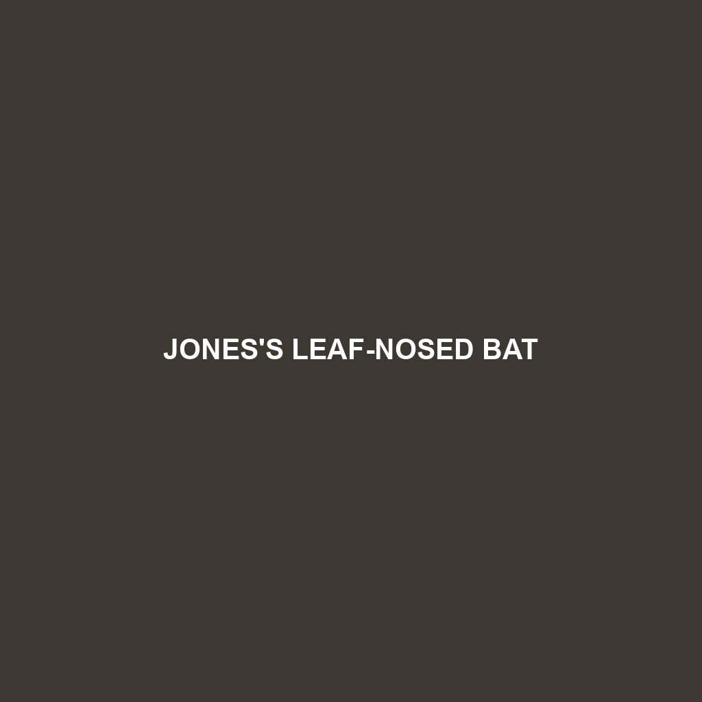 Jones's Leaf-nosed Bat