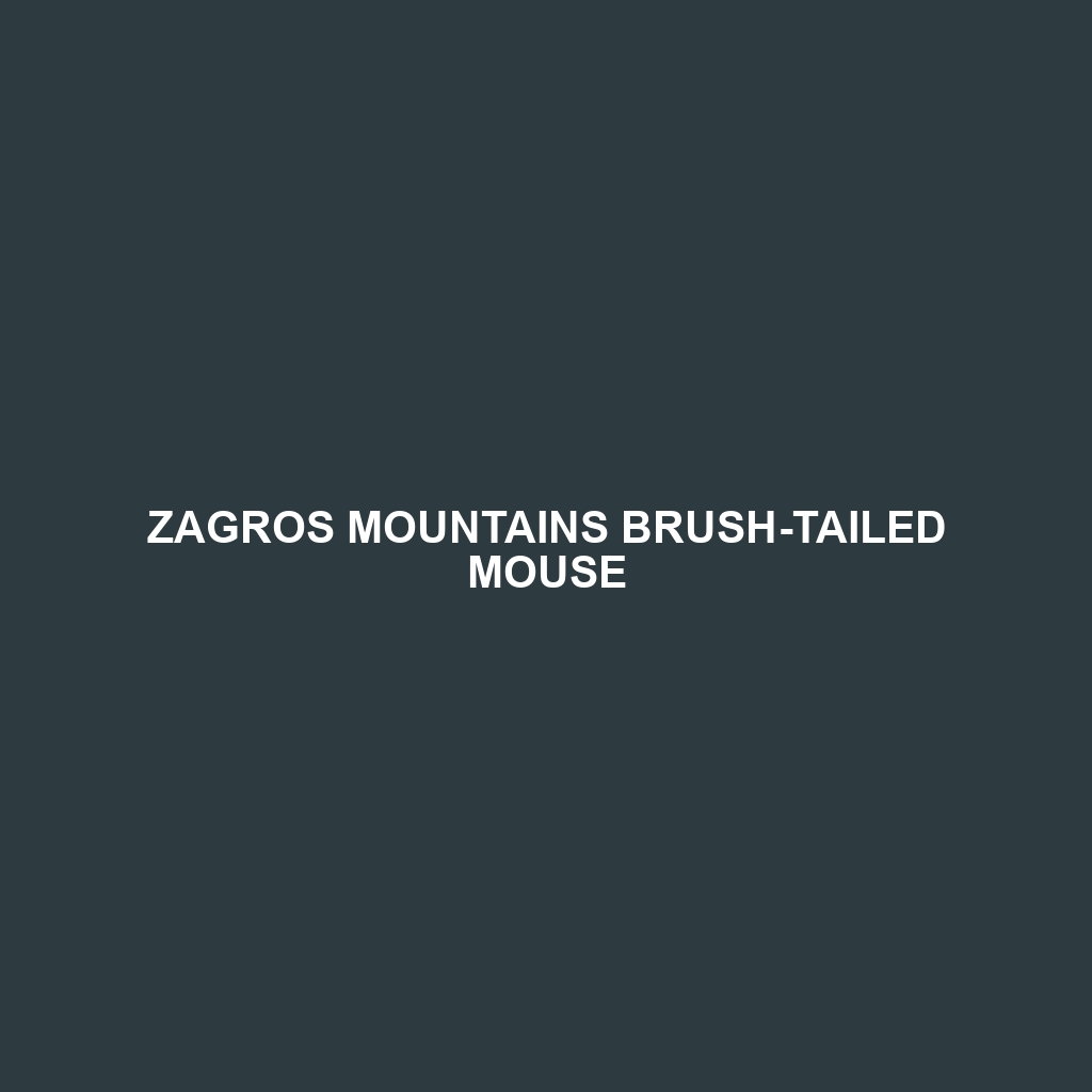 Zagros Mountains Brush-tailed Mouse