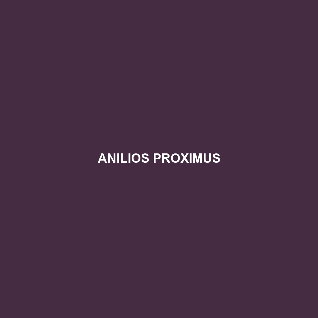 Anilios proximus