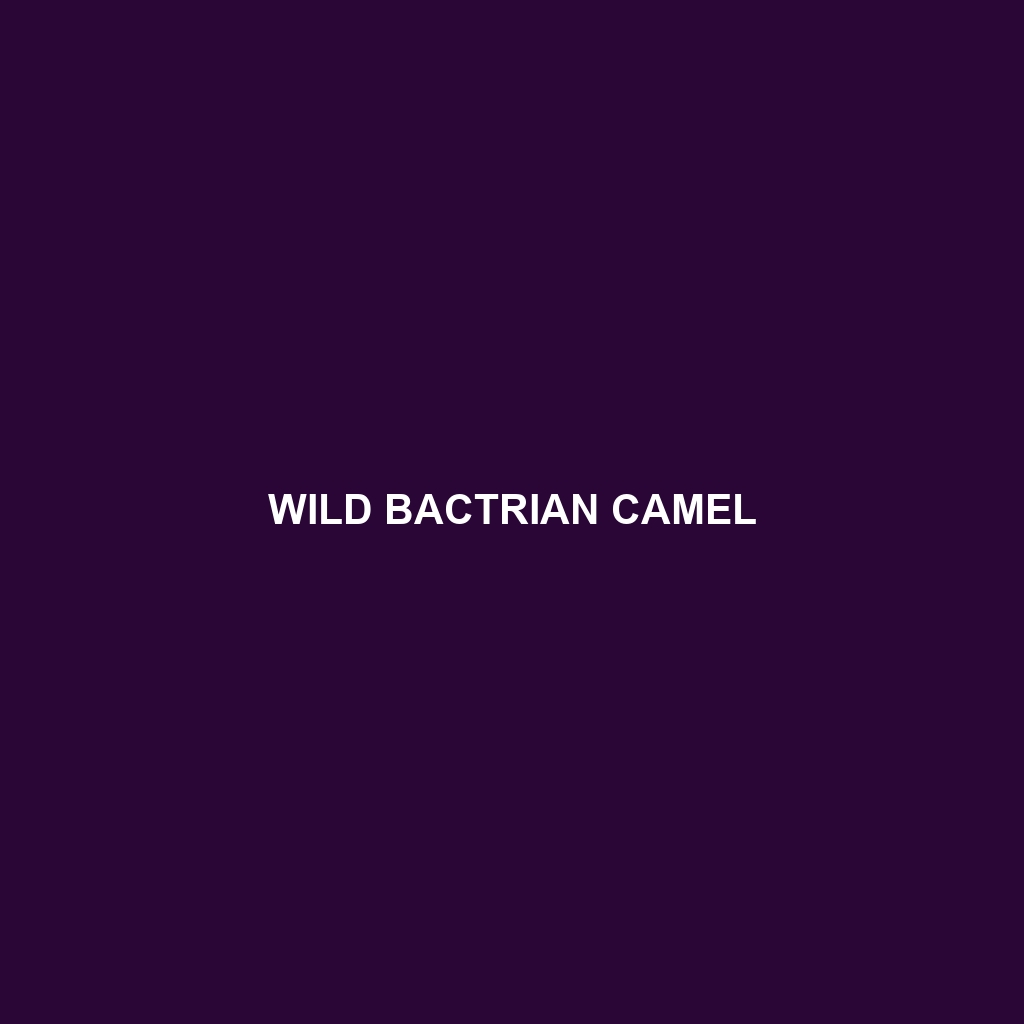 Wild Bactrian Camel