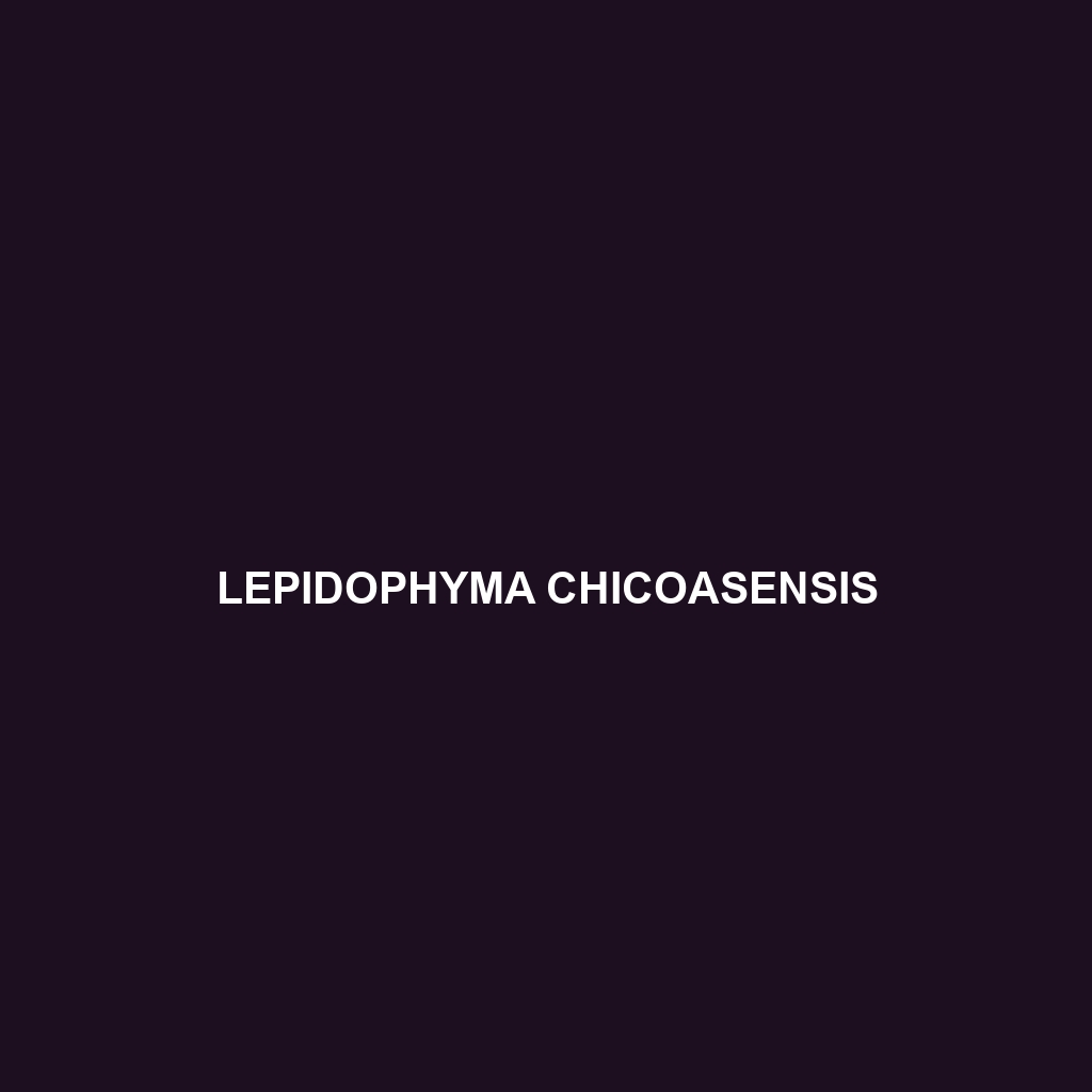 Lepidophyma chicoasensis