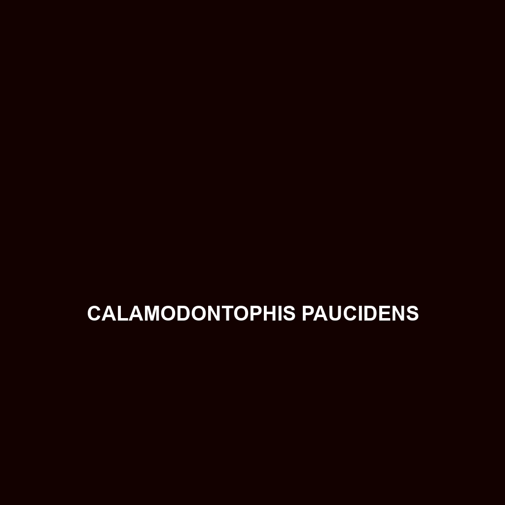 Calamodontophis paucidens