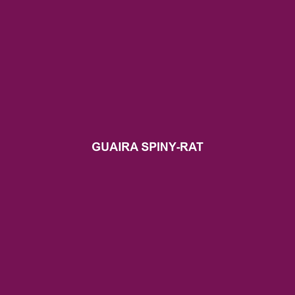 Guaira Spiny-rat