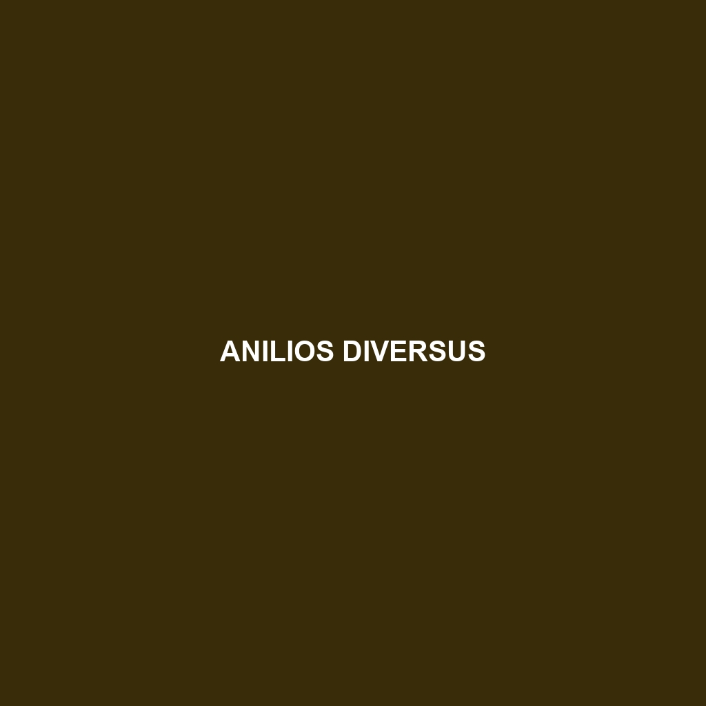 Anilios diversus