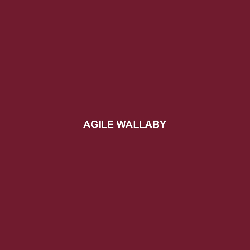 Agile Wallaby