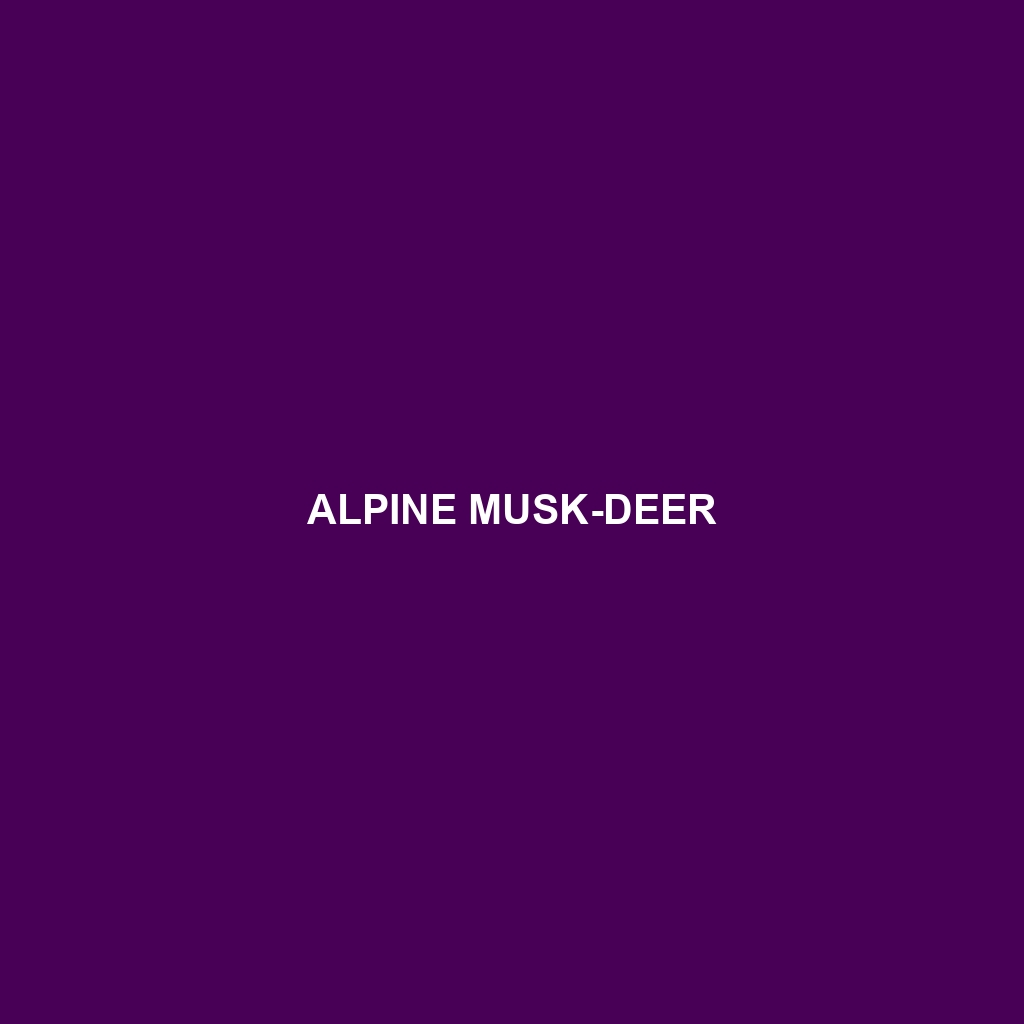 Alpine Musk-deer