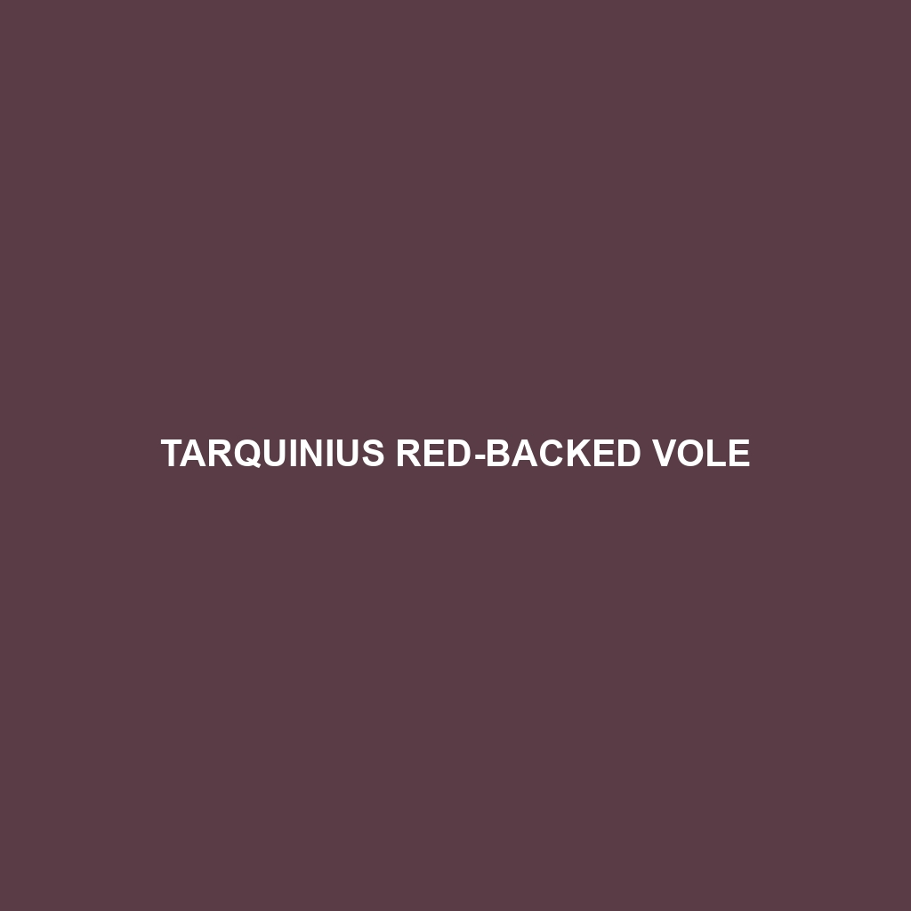 Tarquinius Red-backed Vole