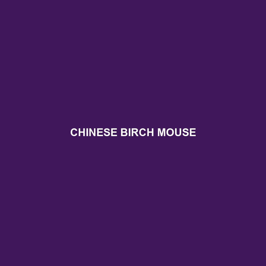 Chinese Birch Mouse