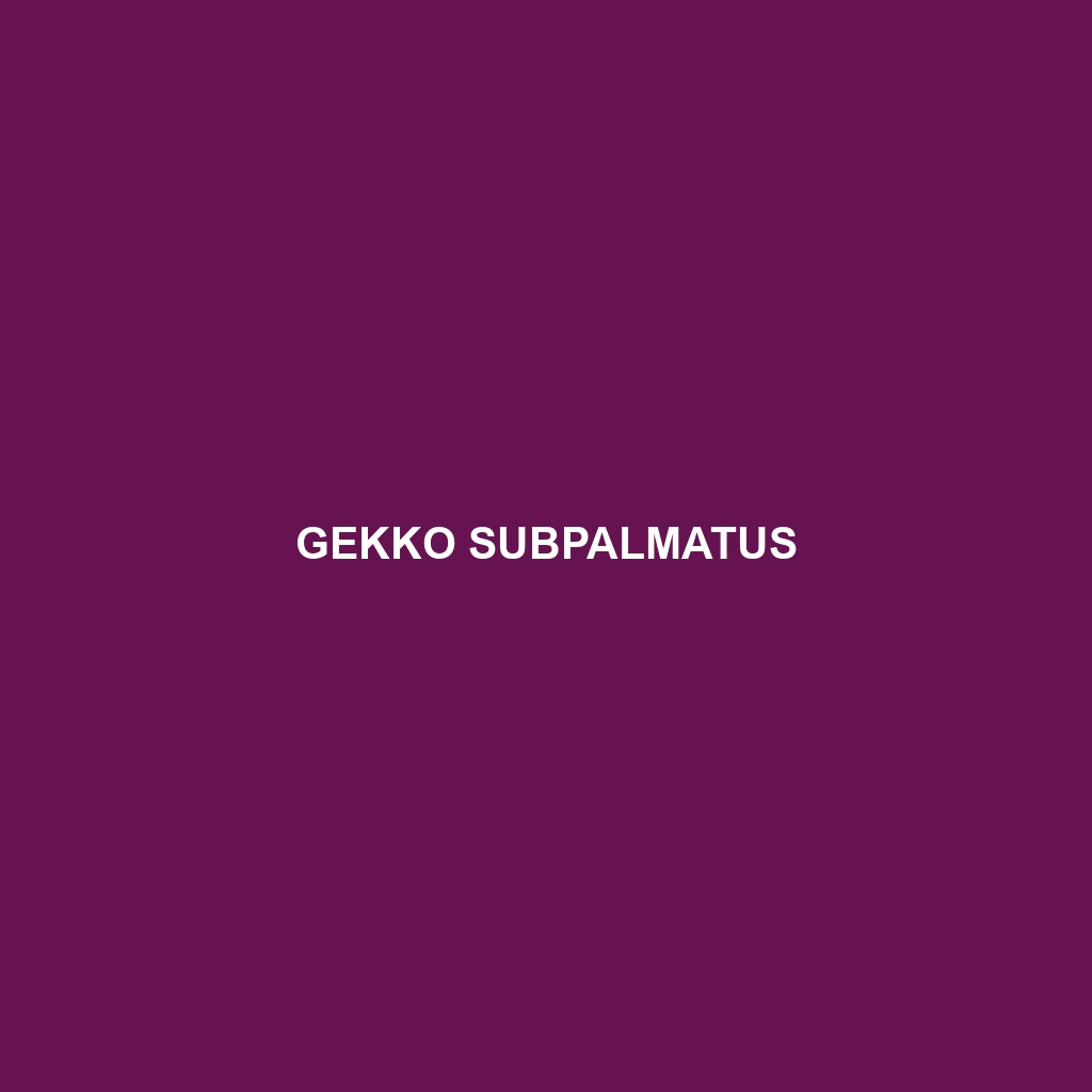 Gekko subpalmatus