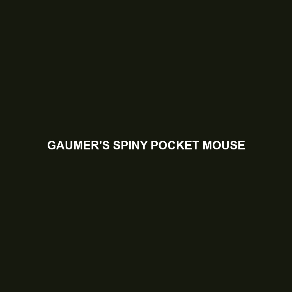 Gaumer's Spiny Pocket Mouse