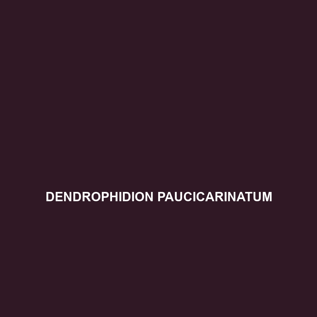 Dendrophidion paucicarinatum