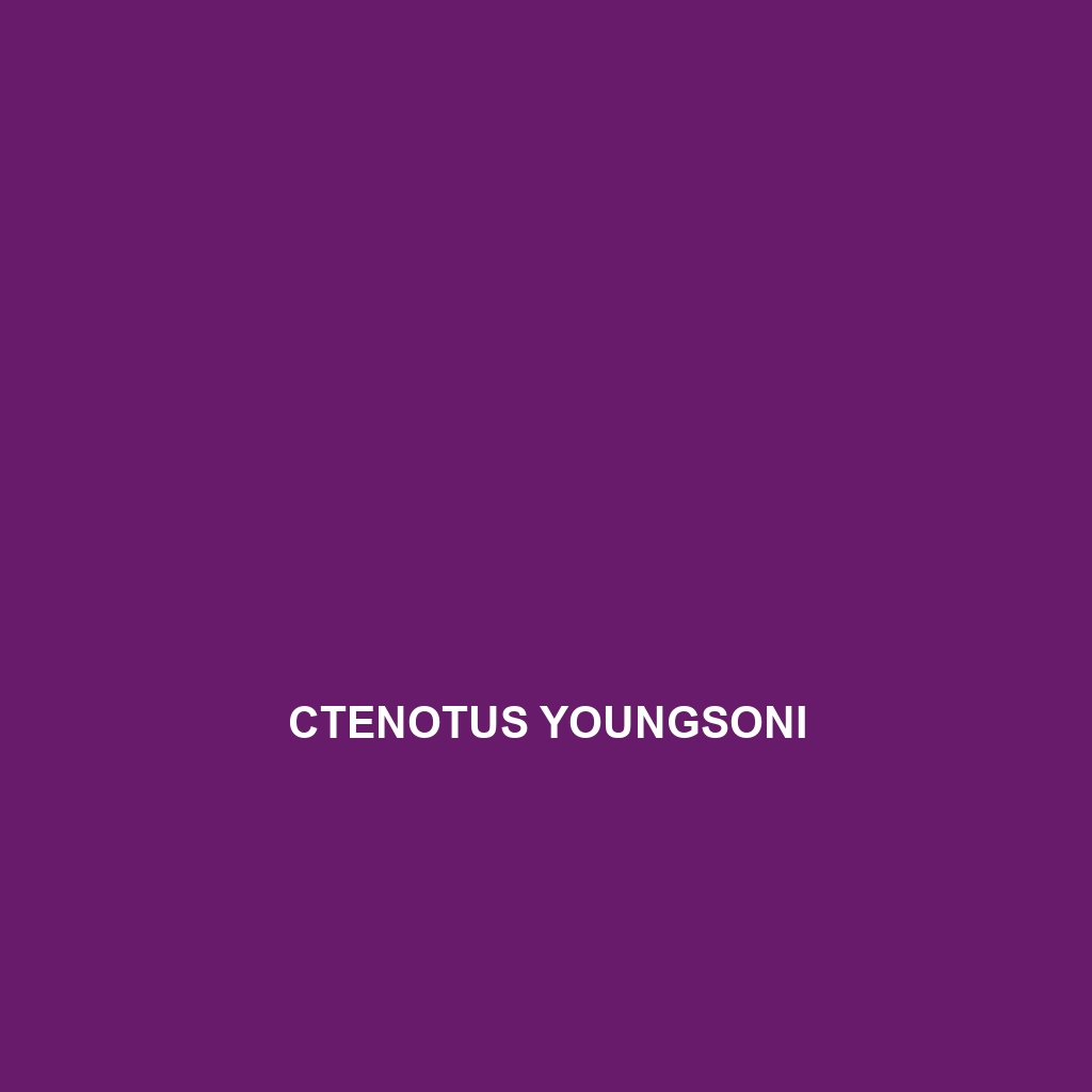 Ctenotus youngsoni