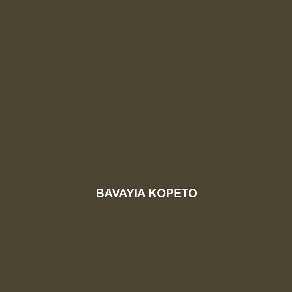 Bavayia kopeto