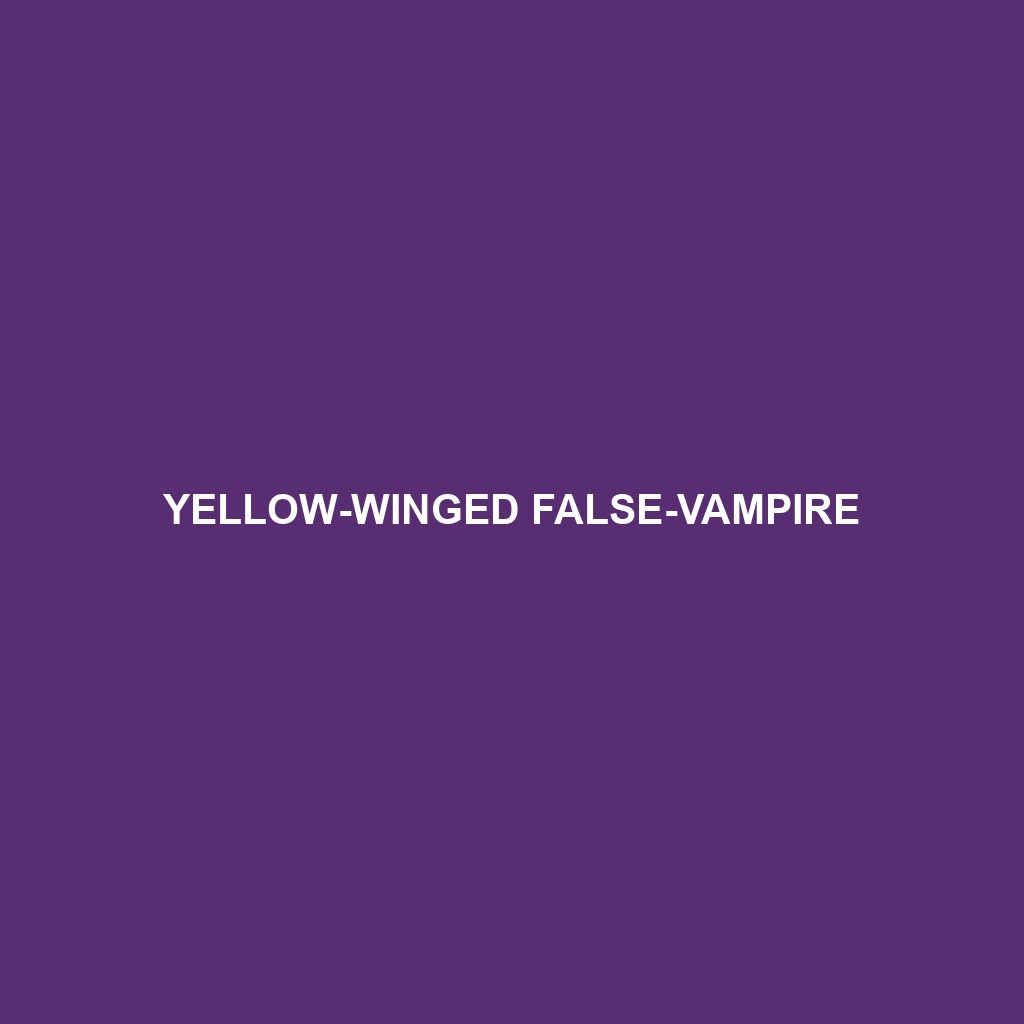 Yellow-winged False-vampire