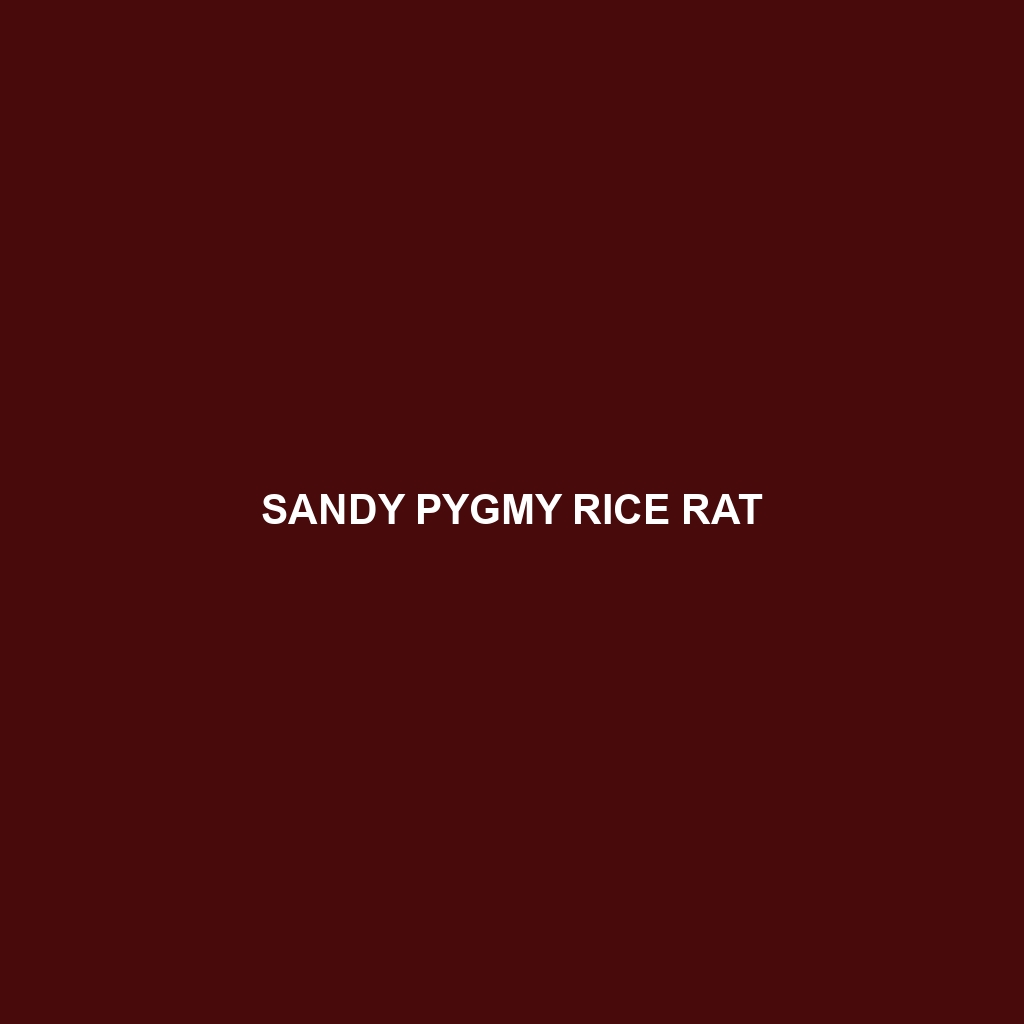 Sandy Pygmy Rice Rat