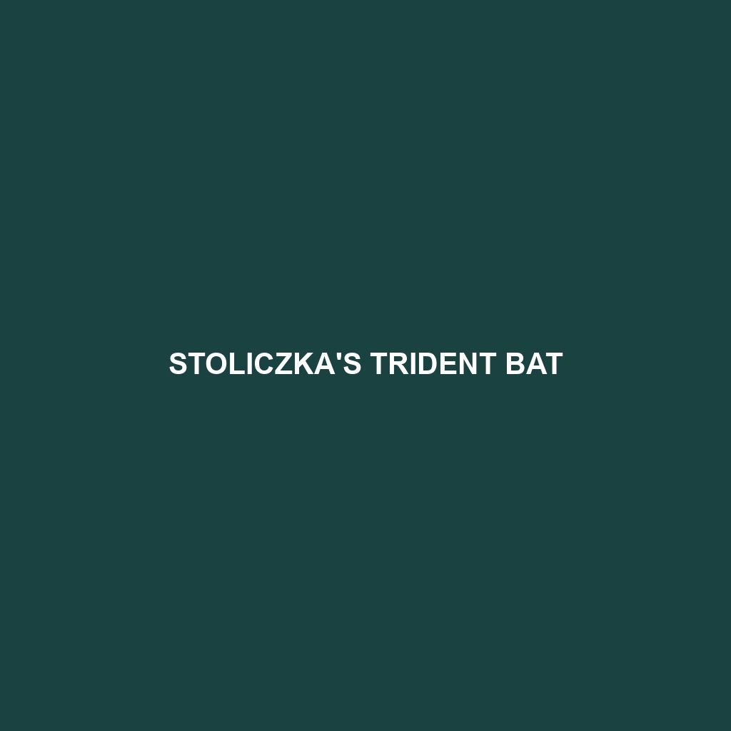 Stoliczka's Trident Bat