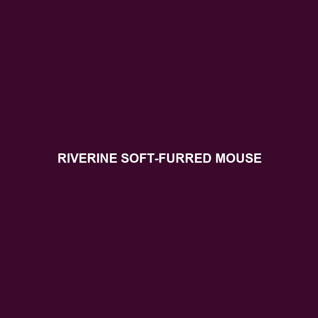 Riverine Soft-furred Mouse