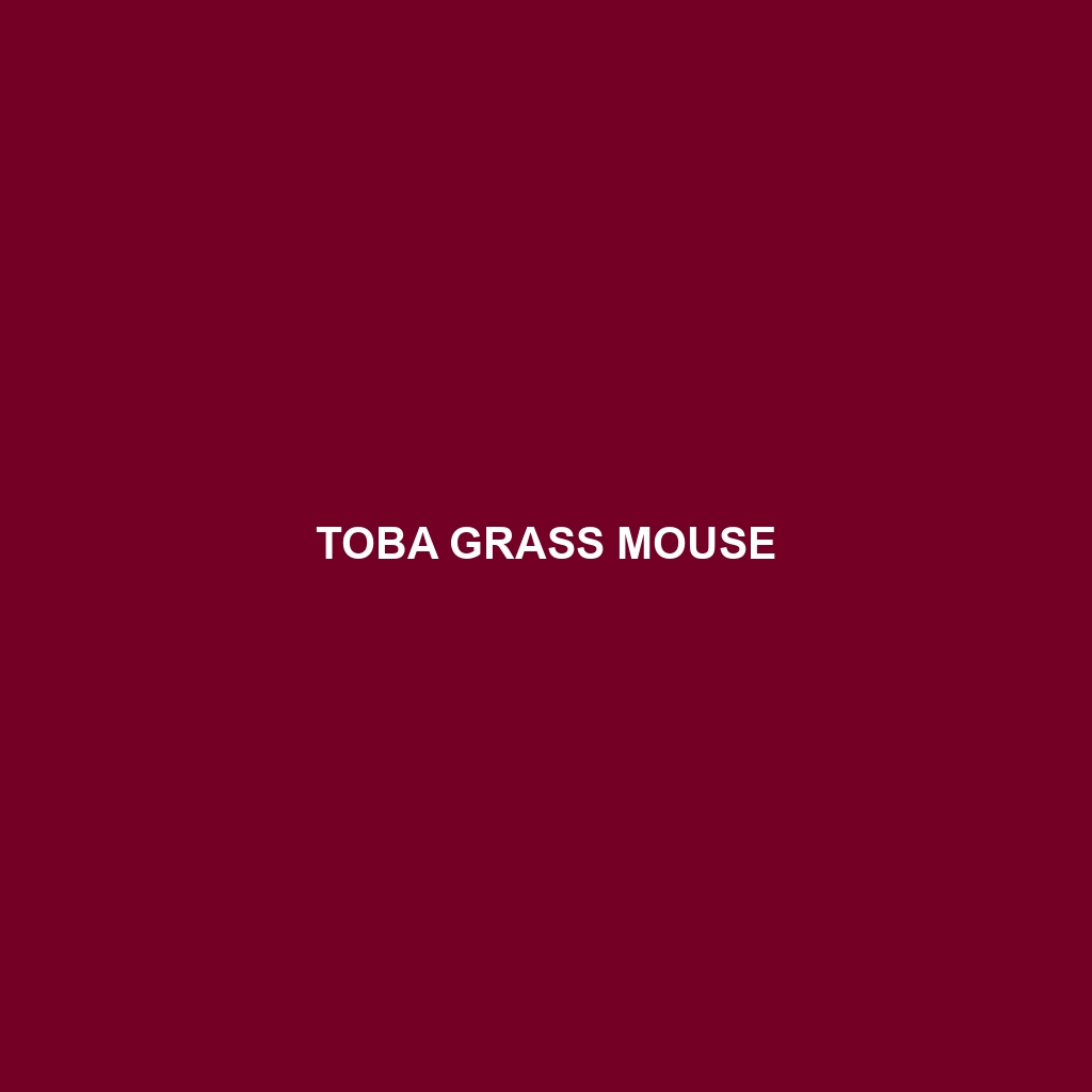 Toba Grass Mouse