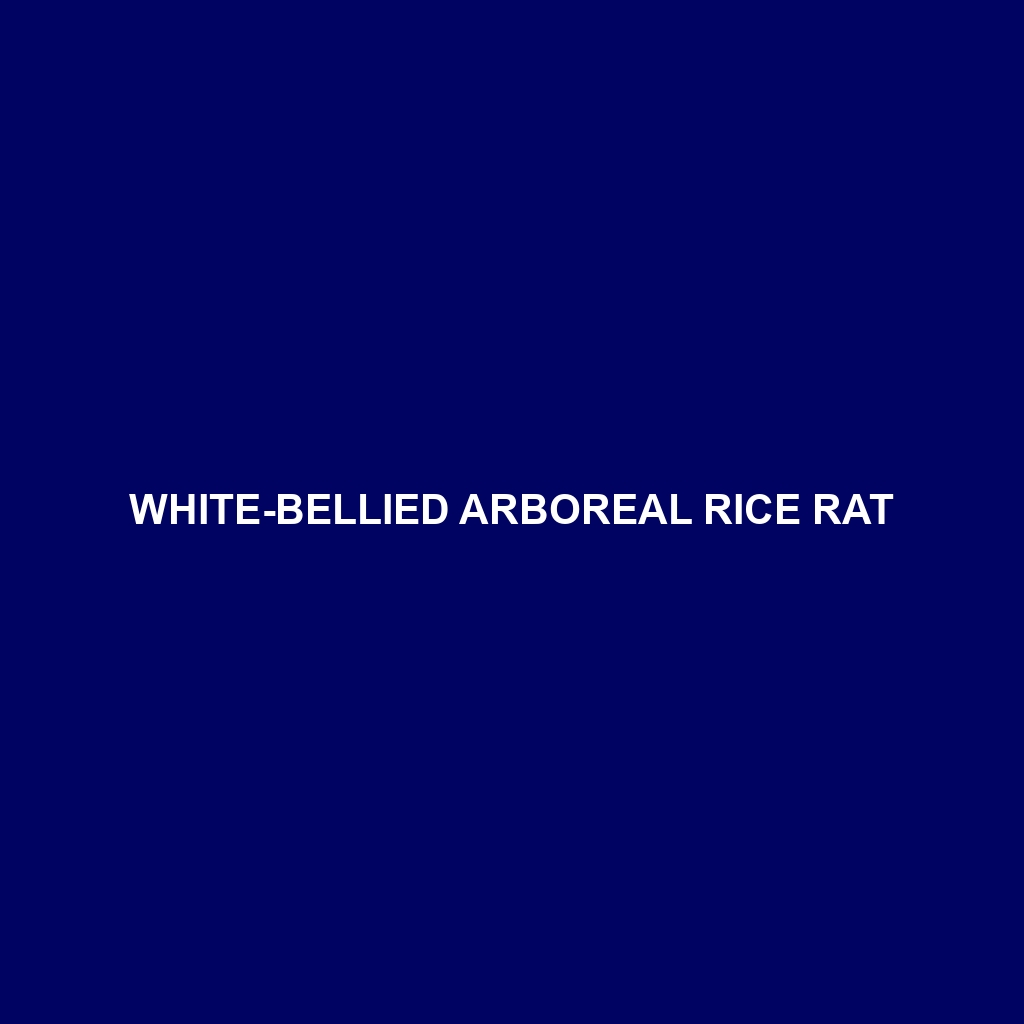 White-bellied Arboreal Rice Rat